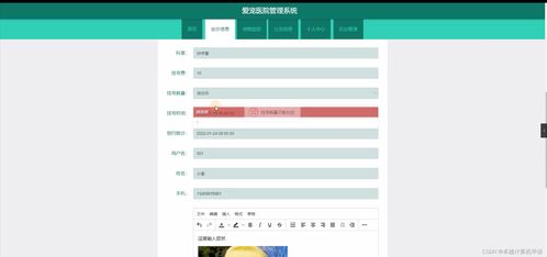 SpringBoot愛寵醫院管理系統 源碼解析與設計研究